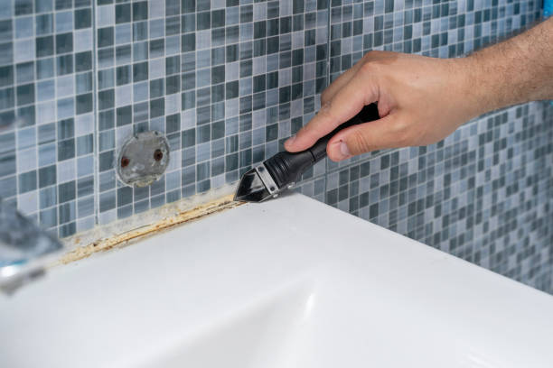Best Certified Mold Removal  in Tybee Island, GA